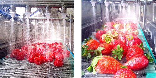 AOW-Ruspberry-wash